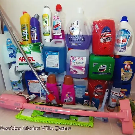 Poseidon Marine Villa *