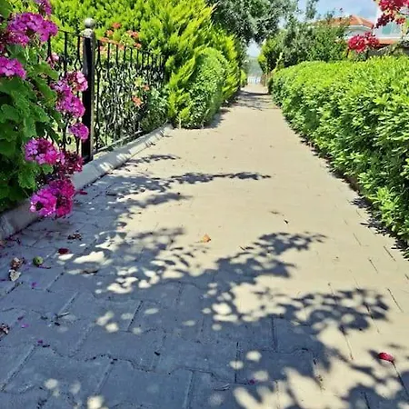 Villa Poseidon Marine Ildiri