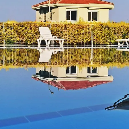 Poseidon Marine Villa *